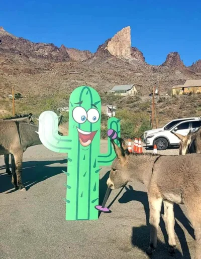 Mohave Comedy Gallery Photo